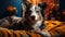 Border Collie with soulful eyes lying on a mustard throw blanket