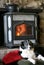 Border Collie by Woodstove