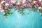 Border of flowering almonds on turquoise background. Festive spr