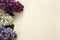 Border of flowers and green leaves of fragrant lilac Syringa vulgaris close-up on a pastel yellow background.