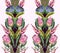 Border with proteas flowers. Trendy floral vector print.