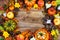 Border of pumpkins, apples, pine cones, fall leaves, yellow rose