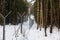 The border of the reserve in a dense winter snowy forest.