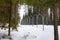 The border of the reserve in a dense winter snowy forest.