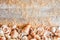 Border of seashells on sandy wooden boards