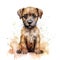 Border terrier puppy on a white background. Cute digital watercolour for dog lovers