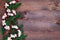 Border with traditional handcrafted Christmas popcorn garland with red cranberries, horizontal