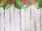 Border with tropical jungle pattern on white wooden background