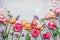 Border of Various beautiful garden flowers on shabby chic background, frame, top view