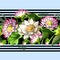 Border with waterlily hand draw. Vector illustration.