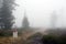 Borderline Bollard Along Footpath in Foggy Forest