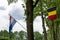 Borders inside European Union between Netherlands and Belgium, two flags on tree