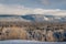 Boreal Forest Beauty and Mountain Top