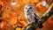 Boreal owl, Aegolius funereus, in the orange larch autumn forest. Autumn in nature with owl. ai