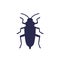 borer bug icon on white, woodboring beetle