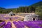 Bories in lavender fields near Ferrassiere in France