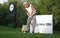 Boris Becker playing golf in mallorca