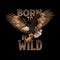 born to be wild Eagle