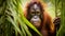 Bornean orangutan on the tree under rain in the wild nature. Central Bornean orangutan Generative Ai