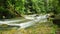 Borneo rain forest stream fall