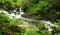 Borneo rain forest stream fall