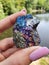 BORNITE peacock Gems Polished Healing Spiritual Tree Water Nature