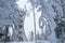 Borowa Gora view point during winter time. Frosty structure, glazed, icy branches. Walbrzych, Lower Silesia, Poland