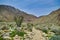The Borrego Palm Canyon Trail, Anza-Borrego Desert State Park, California, USA