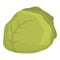 Borsch cabbage icon cartoon vector. Dish recipe