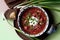 Borsch with green onion