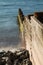 Borth Mid Wales Wooden Sea Breakers