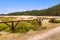 Bory Tucholskie Coniferous Forest landscape with dry sand desert dune with scarce undergrowth in Pomerania region of Poland