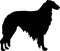 Borzoi silhouette black