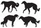 Borzoi â€“ Russian Wolfhound Dog Breed Silhouettes
