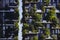 Bosco Verticale.Two modern buildings combined design and ecology in the city center with a forest of 1000 trees.