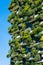 Bosco Verticale Or Vertical Forest Are A Pair Of Residential Towers In Milan