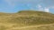 Bosnia and Herzegovina / Sheeps Browses In The Mountain