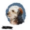 Bosnian Coarse-haired Hound, Barak dog digital art illustration isolated on white background. Bosnia and Herzegovina origin