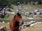 Bosnian mountain horse,Prokosko Lake Vranica Bosnia and Herzegovina