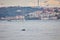 Bosphorus, istanbul with seagulls and dolphins