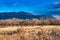 Bosque along Rio Grande River New Mexico