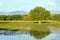 Bosque del Apache National Wildlife Refuge