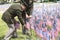 Boston Celebrate Memorial Day, Read aloud every soldier\'s name who died while people planting an