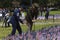 Boston Celebrate Memorial Day, Read aloud every soldier\'s name who died while people planting an