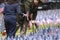 Boston Celebrate Memorial Day, Read aloud every soldier\'s name who died while people planting an