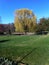 Boston Common - Public space