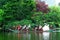 Boston Public Gardens Swan Boats