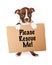 Boston Terrier Puppy Holding Adopt Me Sign