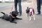 A Boston Terrier puppy meets a Staffordshire bull terrier dog who is lying down on a pavement smiling at her. Both dogs are