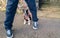 Boston Terrier puppy wearing a pink coat and lead. She is outside sitting on tarmac between her owners legs. She looks a bit timid